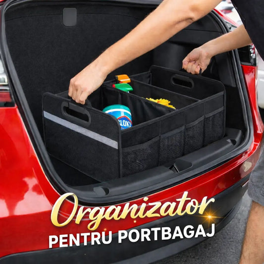 Organizator portbagaj